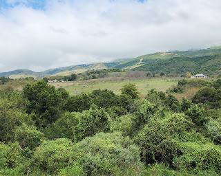 Catamarca Road Trip: 10 días de paisajes sorprendentes Catamarca Road Trip: 10 días de paisajes sorprendentes