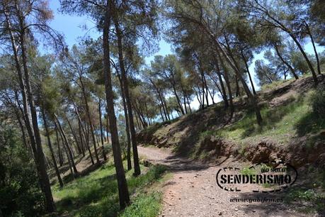 Tres días en Málaga