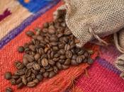 Barrio Italia: Vive undécima Ruta Café experiencia culinaria