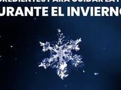 ingredientes infaltables para cuidar nuestra piel durante invierno.