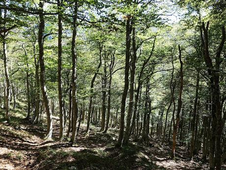 Orlé-El Requexón-El Porrón (La Senda)