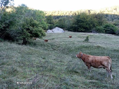 Orlé-El Requexón-El Porrón (La Senda)
