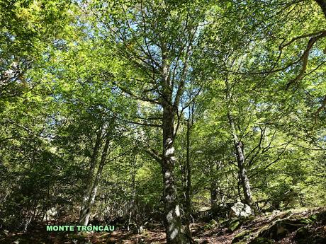 Orlé-El Requexón-El Porrón (La Senda)