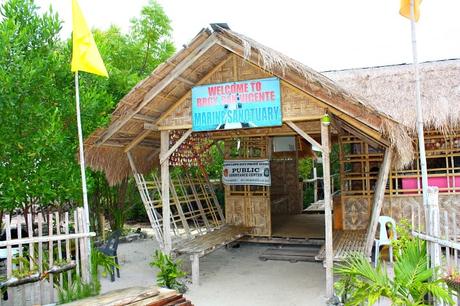 15 mejores cosas para hacer en Mactan Island (Filipinas) Santuario Marino San Vicente