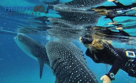 15 mejores cosas para hacer en Mactan Island (Filipinas) HQ apnea