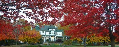 15 mejores cosas para hacer en Kansas City (KS) Huerto familiar Cider Hill