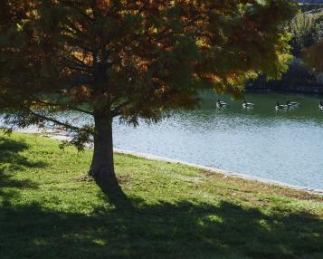 15 mejores cosas para hacer en Kansas City (KS) Big 11 Lake