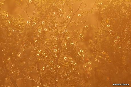 Faro Belén (diciembre 2022)