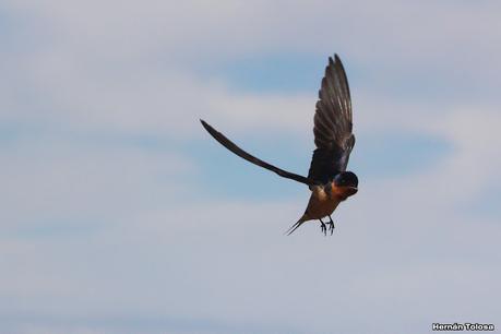 Faro Belén (diciembre 2022)