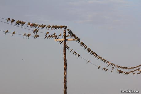Faro Belén (diciembre 2022)