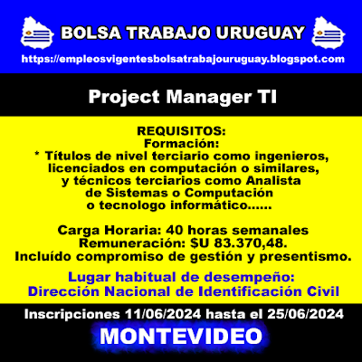 Project Manager TI Project Manager TI