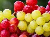 Explorando Clustering-Based Local Outlier Factor (CBLOF) para detección anomalías