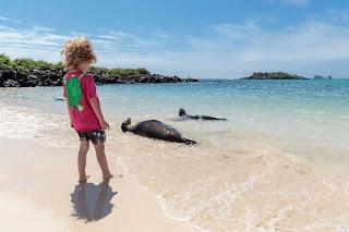 Metropolitan Touring celebra el mes del niño en Galápagos: El destino perfecto para despertar la curiosidad y el amor por la naturaleza en los niños Metropolitan Touring celebra el mes del niño en Galápagos: El destino perfecto para despertar la curiosidad y el amor por la naturaleza en los niños