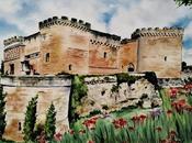 Castillo-Buen-Amor-Salamanca