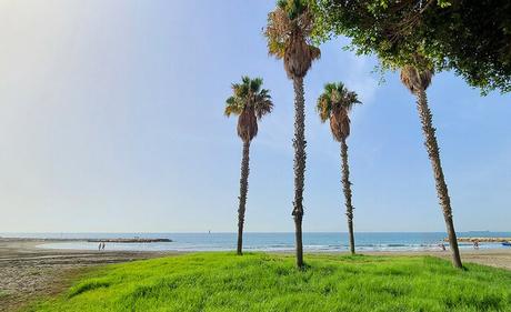 12 playas mejor valoradas del sur de España 12 playas mejor valoradas del sur de España