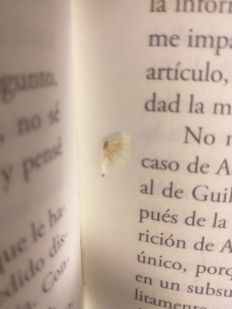 Nuestra parte de noche, Mariana Enríquez