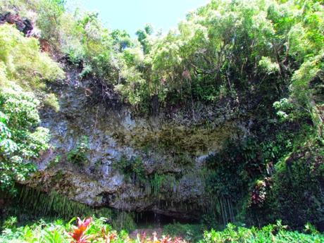 Fern Grotto. Kauai. Hawaii