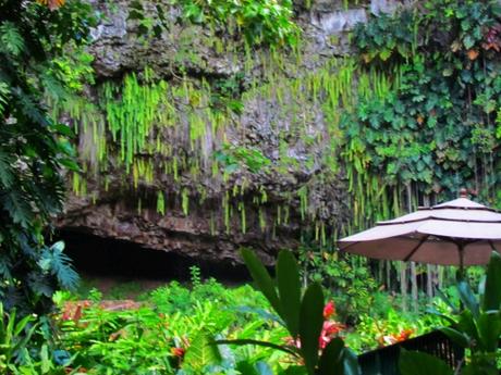 Fern Grotto. Kauai. Hawaii
