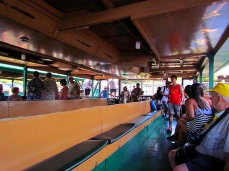 Fern Grotto. Kauai. Hawaii