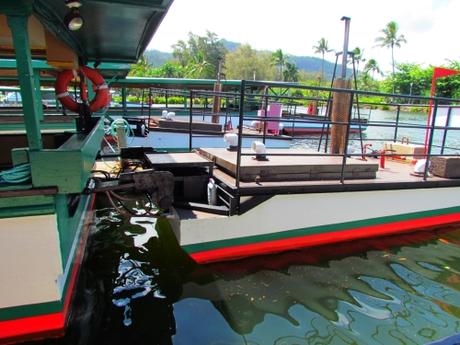 Fern Grotto. Kauai. Hawaii