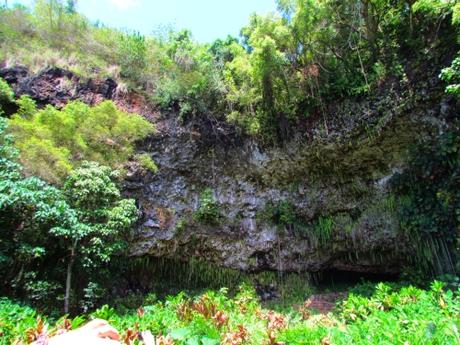 Fern Grotto. Kauai. Hawaii