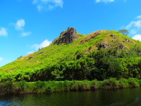 Fern Grotto. Kauai. Hawaii