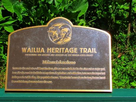 Fern Grotto. Kauai. Hawaii