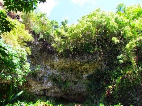 Fern Grotto. Kauai. Hawaii