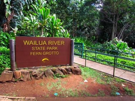 Fern Grotto. Kauai. Hawaii