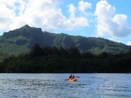 Fern Grotto. Kauai. Hawaii