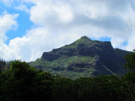 Fern Grotto. Kauai. Hawaii