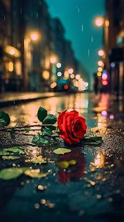 5.854 - TE QUEDAS SOLO...