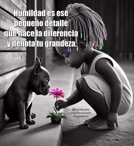 Humildad es ese pequeño detalle que hace la diferencia y denota tu grandeza.