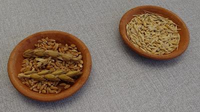 PANIS, VINUM, OLEUM? KUANUM! MUCHO MÁS QUE LA TRÍADA MEDITERRÁNEA PANIS, VINUM, OLEUM? KUANUM! MUCHO MÁS QUE LA TRÍADA MEDITERRÁNEA