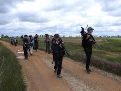 TIERRA DE CAMPOS EN MAYO (Palencia)