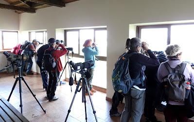 TIERRA DE CAMPOS EN MAYO (Palencia)