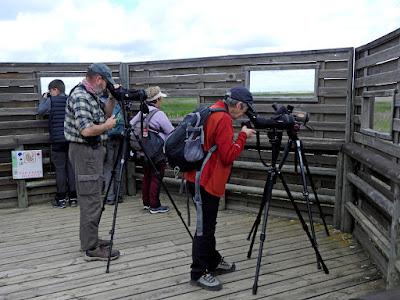 TIERRA DE CAMPOS EN MAYO (Palencia)