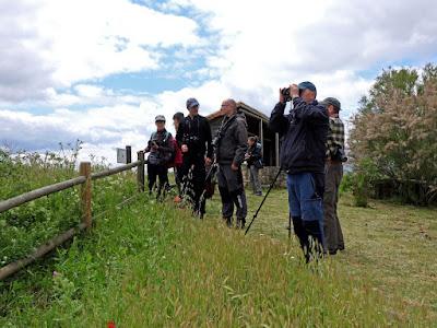 TIERRA DE CAMPOS EN MAYO (Palencia)