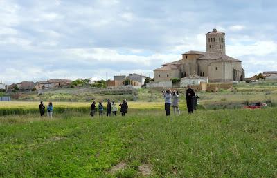 TIERRA DE CAMPOS EN MAYO (Palencia)