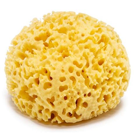 Kalyspongea® Esponja Marina Natural por Bebe y Adulto Grass Grande 12-13 cm Esponja Jabonosa Baby Baño 100% Vegetal para Ducha o Baño Cuerpo Embalaje de Regalo