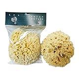 Esponja natural venecia n 605.