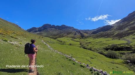 Praderas de Cebolledo