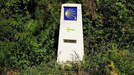 Las 5 rutas más famosas del Camino de Santiago