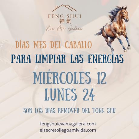 Días para limpiar las energías 🪔