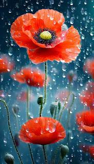 5.857 - SE VA LA PRIMAVERA...