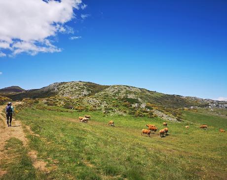 Foz de Meleros y Pico la Silla desde Geras
