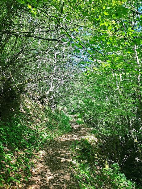 Foz de Meleros y Pico la Silla desde Geras