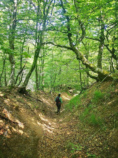 Foz de Meleros y Pico la Silla desde Geras