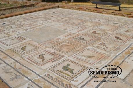 Conjunto Arqueológico de Itálica