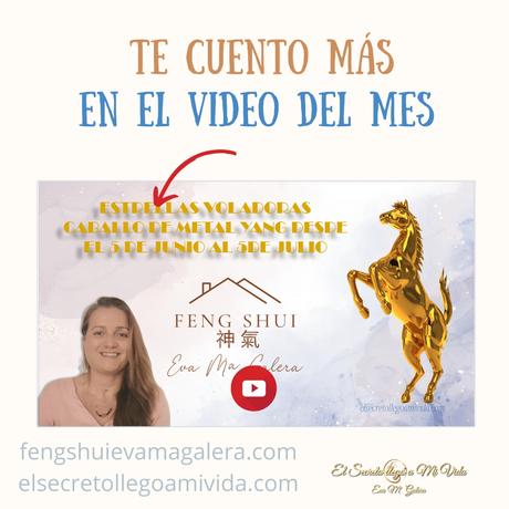 Día Maestro mes del Caballo 🐴 2024